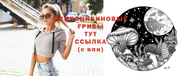 СК Балахна