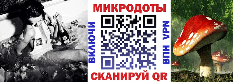 даркнет сайт  Северо-Курильск  Псилоцибиновые грибы ЛСД 